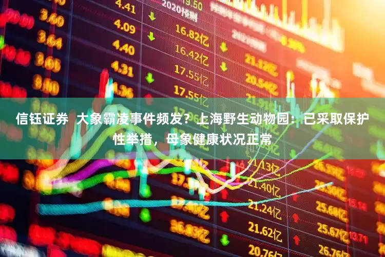 信钰证券  大象霸凌事件频发？上海野生动物园：已采取保护性举措，母象健康状况正常