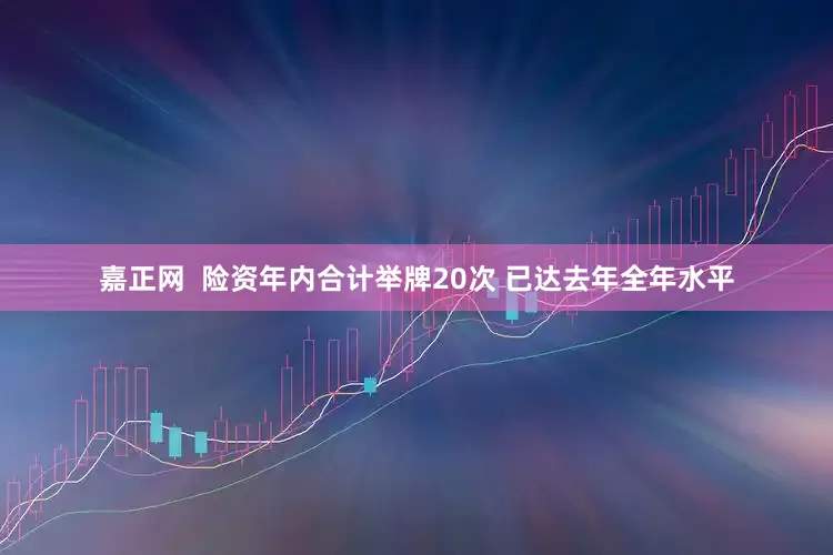 嘉正网  险资年内合计举牌20次 已达去年全年水平