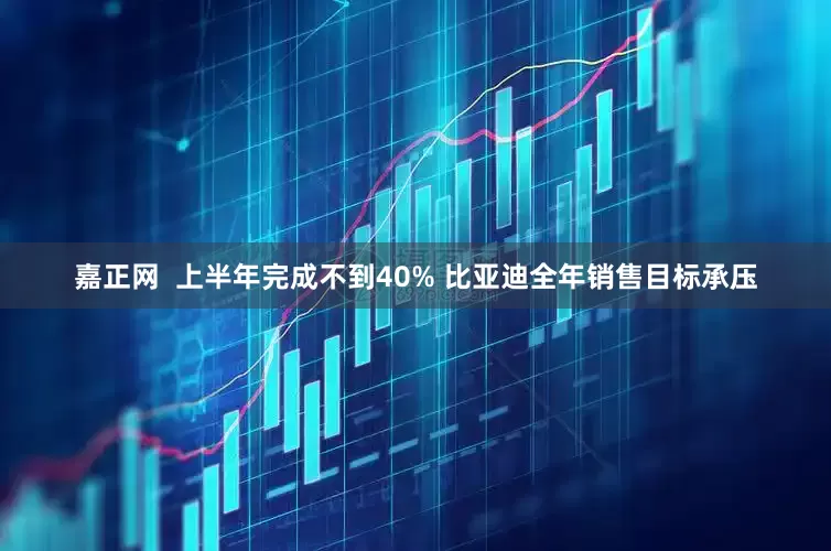 嘉正网  上半年完成不到40% 比亚迪全年销售目标承压