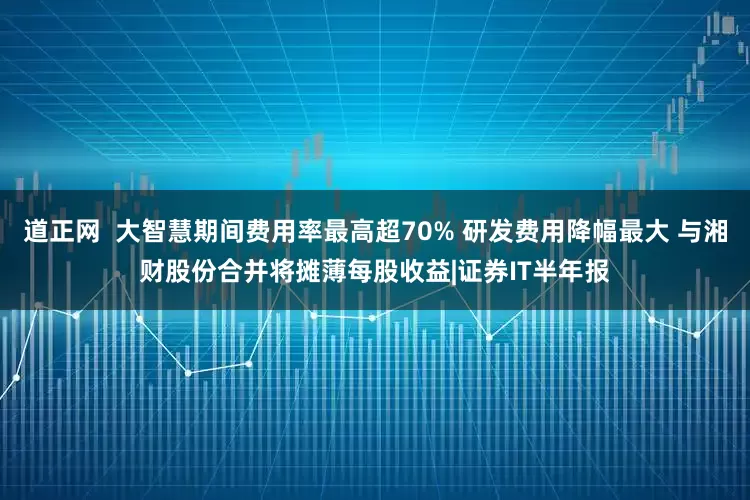 道正网  大智慧期间费用率最高超70% 研发费用降幅最大 与湘财股份合并将摊薄每股收益|证券IT半年报