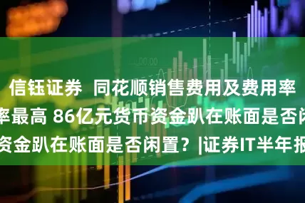 信钰证券  同花顺销售费用及费用率最高 资产负债率最高 86亿元货币资金趴在账面是否闲置？|证券IT半年报